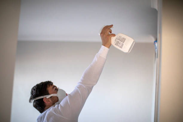 Best Office Mold Removal Services  in Bushnell, IL
