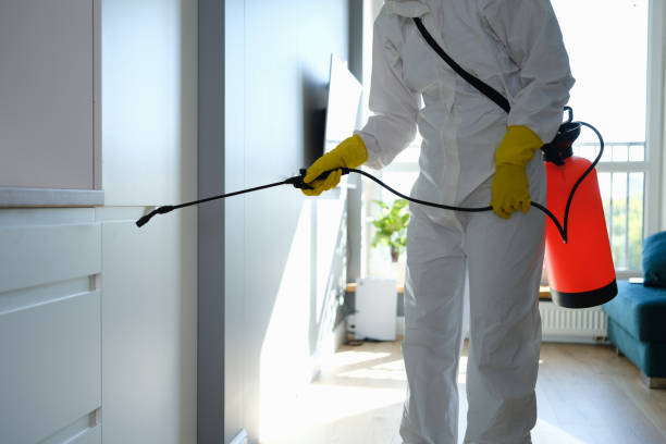 Best Fast Mold Removal  in Bushnell, IL