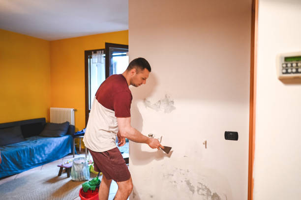 Best Local Mold Removal Service  in Bushnell, IL